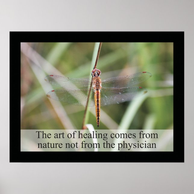 Chiropractic Quotes and Sayings Health Poster (Front)