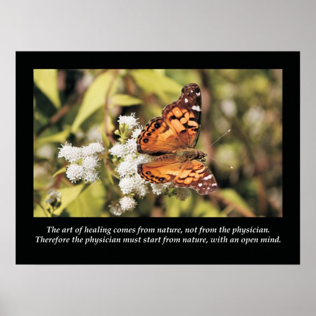 Chiropractic Quotes and Sayings Health Poster (Front)