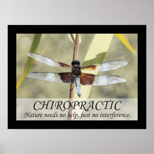 Chiropractic Quotes and Sayings Nature Poster