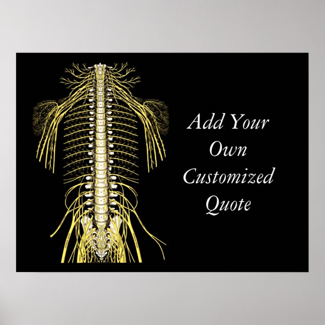 Chiropractic Quotes & Sayings Customized Poster (Front)