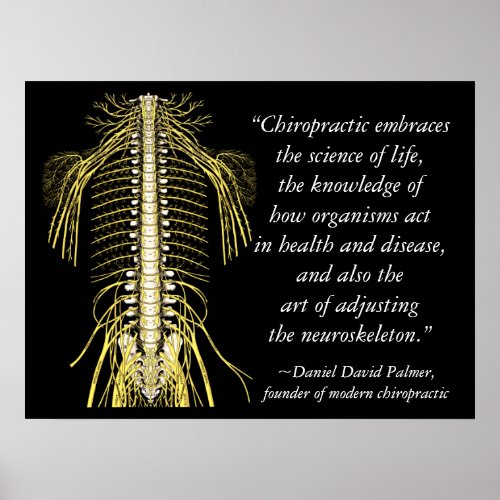 Chiropractic Quotes  Sayings DD Palmer Poster