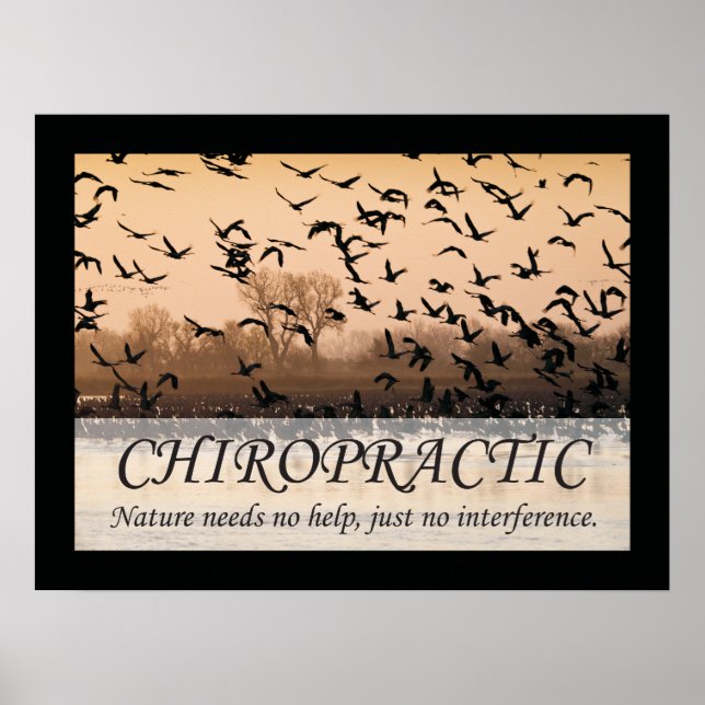 Chiropractic Quotes & Sayings Nature Poster (Front)