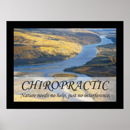 Chiropractic Quotes & Sayings Nature Poster