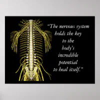 chiropractic care sayings