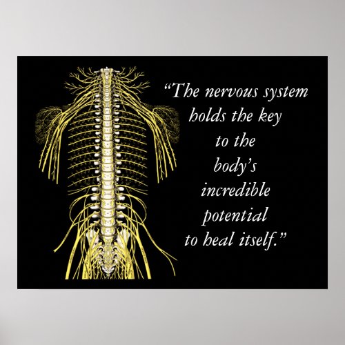 Chiropractic Quotes  Sayings Nervous System Poster