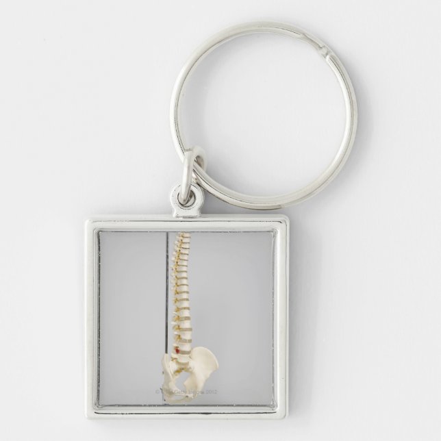 Chiropractic skeleton keychain (Front)