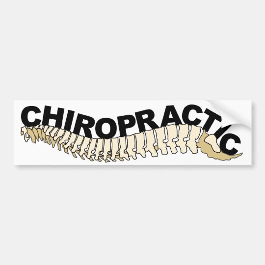 Chiropractic Spine Bumper Sticker Zazzle