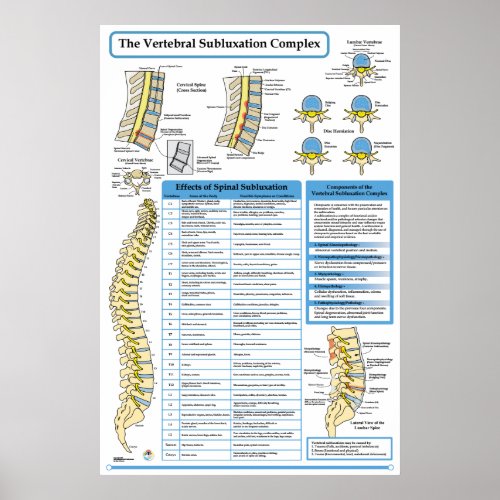 Chiropractic Vertebral Subluxation Complex Poster