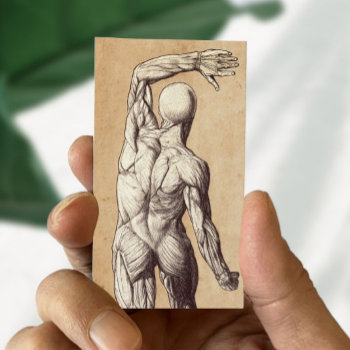 Chiropractic Vintage Human Anatomy Chiropractor Business Card by cardfactory at Zazzle