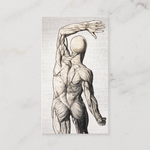 Chiropractic Vintage Linen Anatomy Chiropractor  Business Card