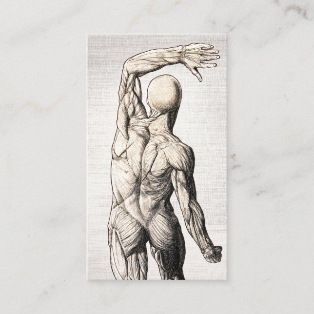 Chiropractic Vintage Linen Anatomy Chiropractor  Business Card (Front)