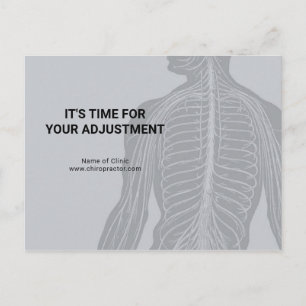 Chiropractor Appointment Reminder Modern Anatomy Postcard