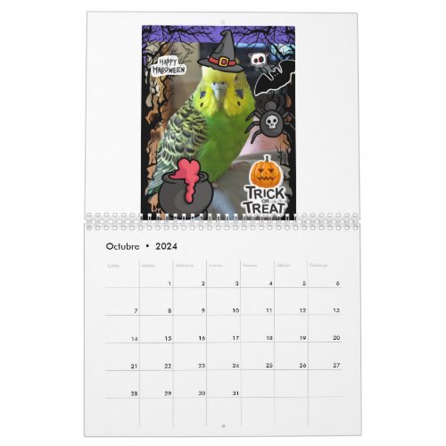Chirpy Calendar 2024