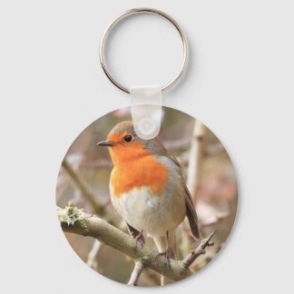 Chirpy Robin Keychain