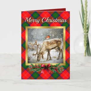 Chisholm Stag & Robin Tartan Personalized Holiday Card