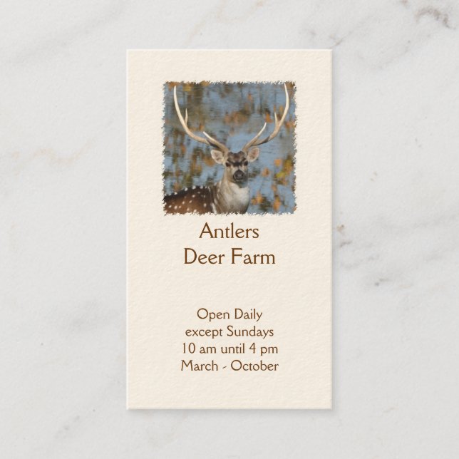 Chital deer farm stag photo business card (Front)