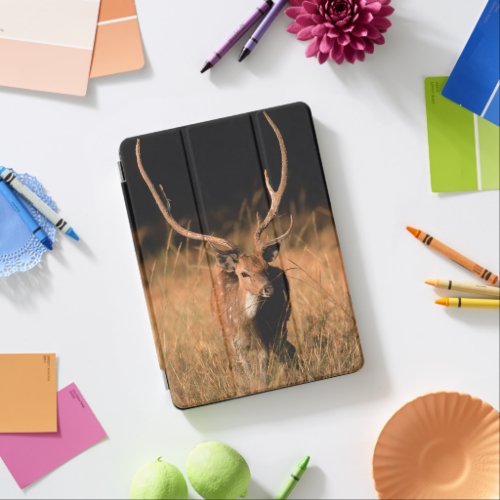 Chital Natural Habitat  Bandhavgar National Park iPad Air Cover