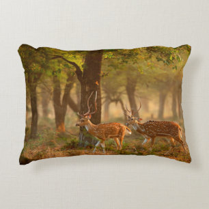 Chital or cheetal, Axis axis, spotted deers or axi Accent Pillow