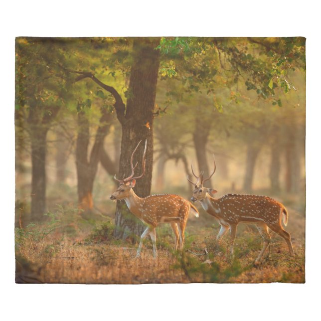 Chital or cheetal, Axis axis, spotted deers or axi Duvet Cover (Front)