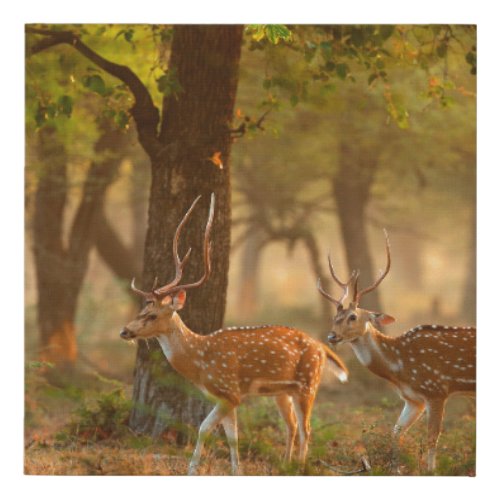 Chital or cheetal Axis axis spotted deers or axi Faux Canvas Print