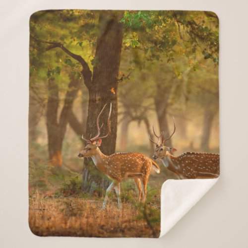 Chital or cheetal Axis axis spotted deers or axi Sherpa Blanket