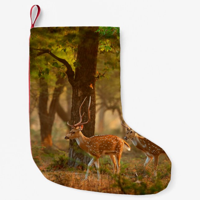 Chital or cheetal, Axis axis, spotted deers or axi Small Christmas Stocking (Front)
