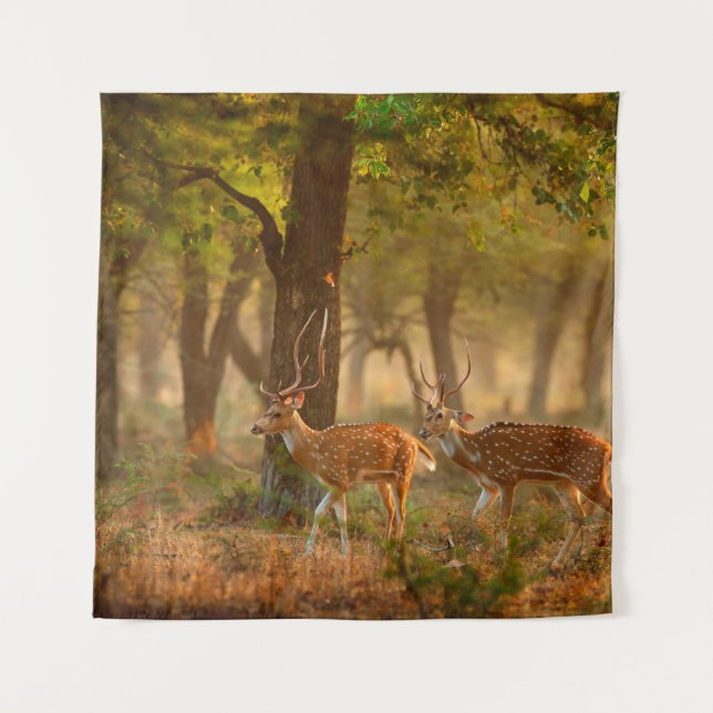 Chital or cheetal, Axis axis, spotted deers or axi Tapestry (Front)