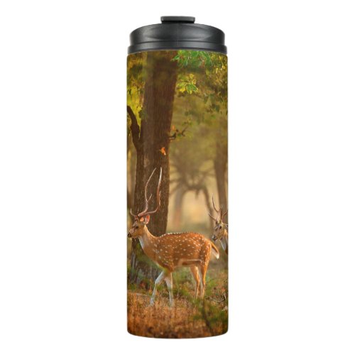 Chital or cheetal Axis axis spotted deers or axi Thermal Tumbler