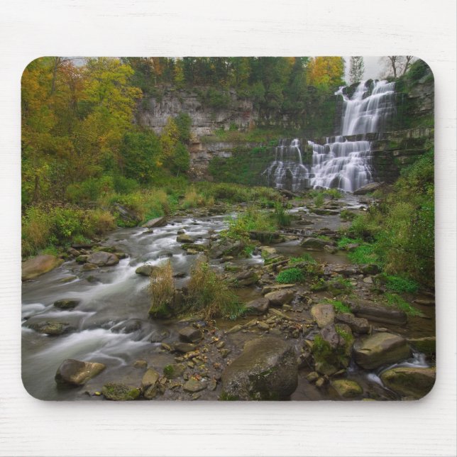 Chittenango Falls Mouse Pad (Front)
