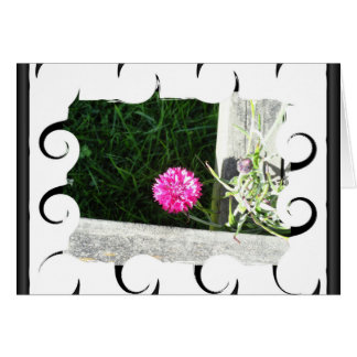 Chive Cards