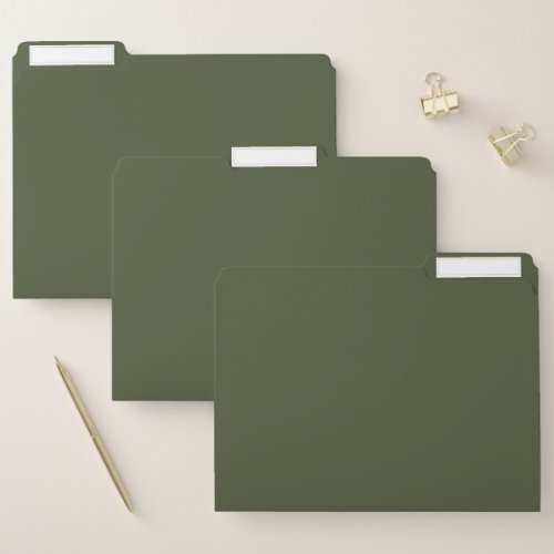 Chive Solid Color File Folder