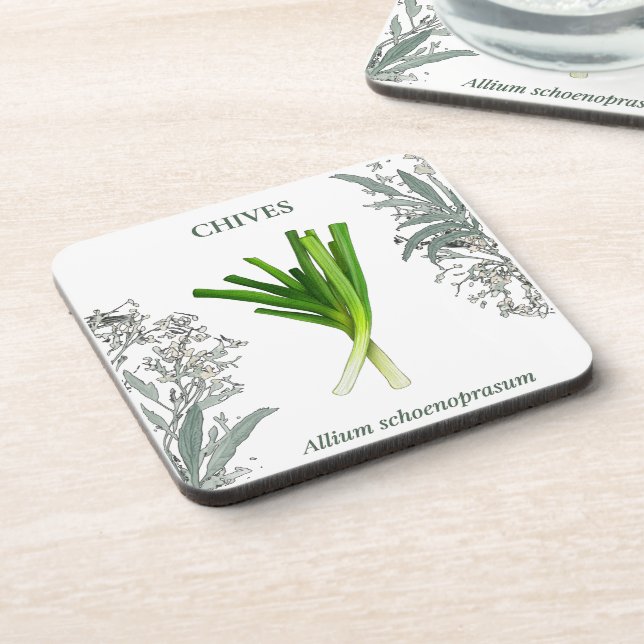 Chives - Allium schoenoprasum Beverage Coaster (Left Side)