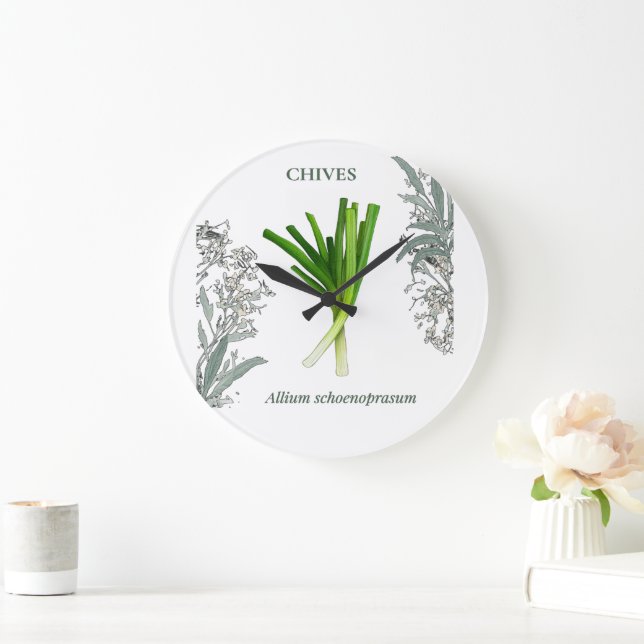 Chives — Allium schoenoprasum Large Clock (Home)