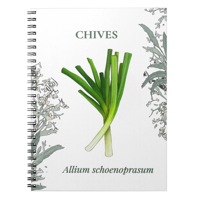 Chives — Allium schoenoprasum Notebook (Front)