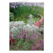 chives,artemesia & salvia (Front)