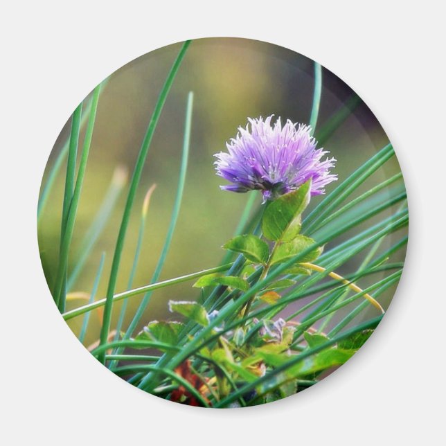 Chives Blue On Grass Magnet (Front)