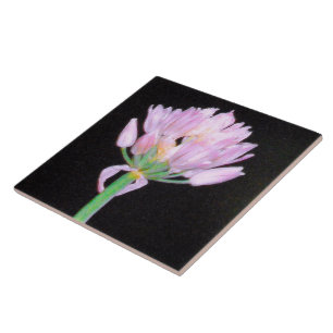 Chives Flower Ceramic Tile