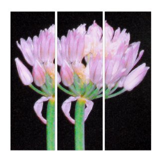 Chives Flower Triptych
