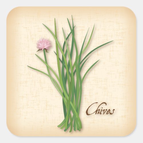 Chives Herb Square Sticker