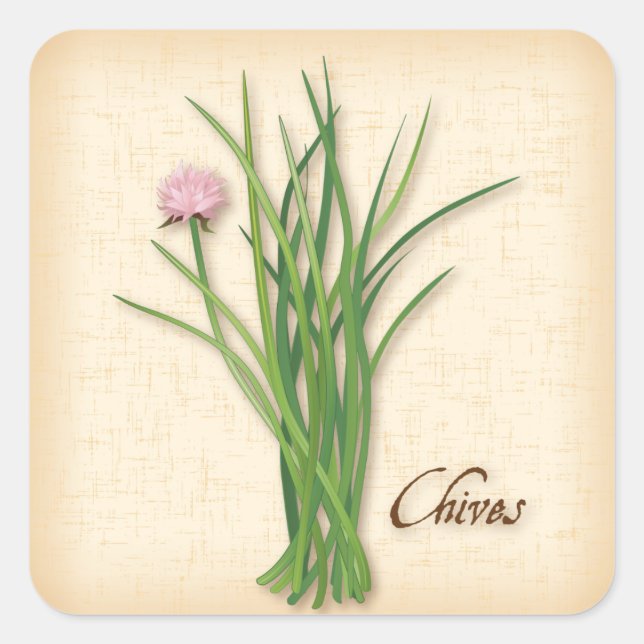 Chives Herb Square Sticker (Front)