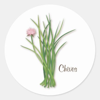Chives Round Sticker by pomegranate_gallery at Zazzle