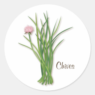 Chives Round Sticker