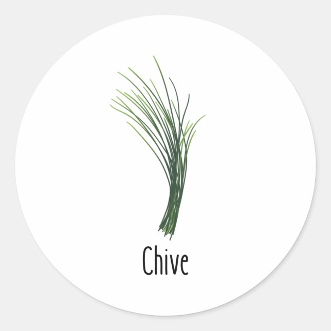 Chives Spices Herbs Classic Round Sticker (Front)