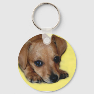 Chiweenie Puppy Keychain