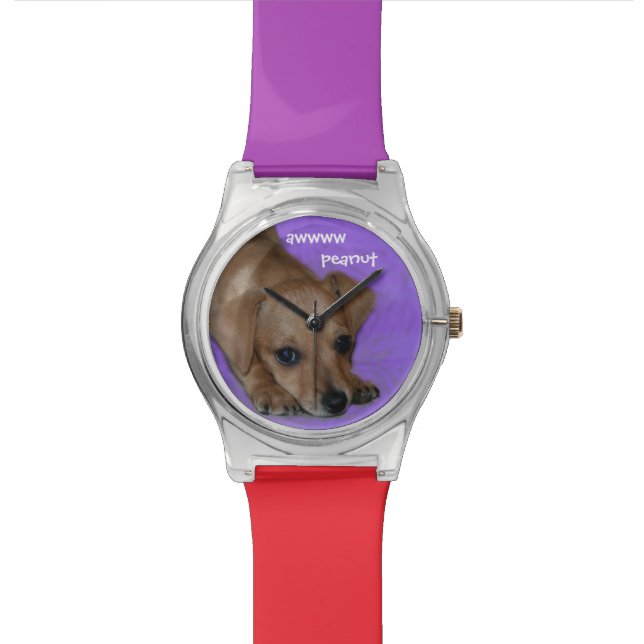 Chiweenie Puppy w/customized text May28th Watch (Close Up)