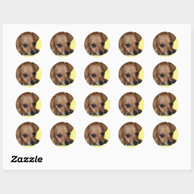 Chiweenie Sticker Zazzle