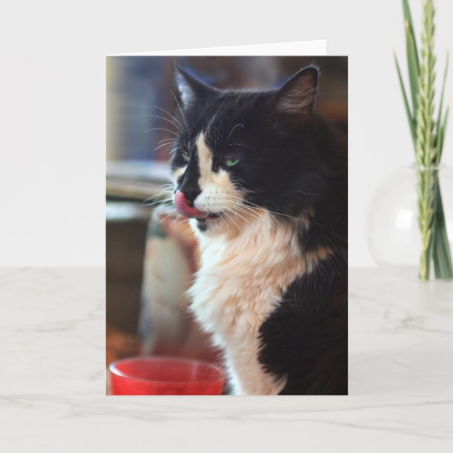 Chloe Licks Card (Front)