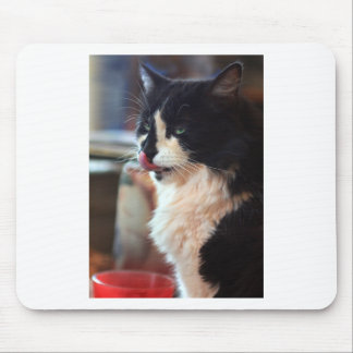 Chloe Licks Mouse Pad