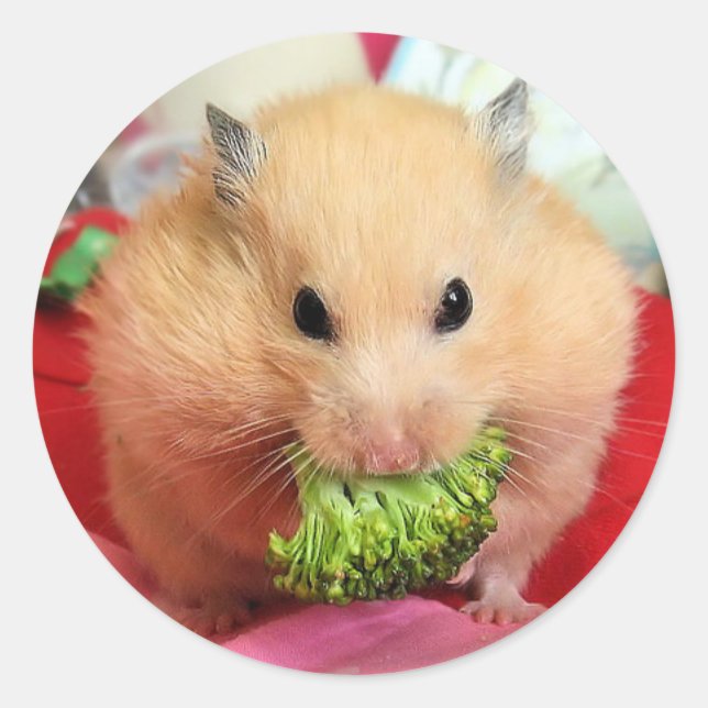 Chmurka and broccoli classic round sticker (Front)