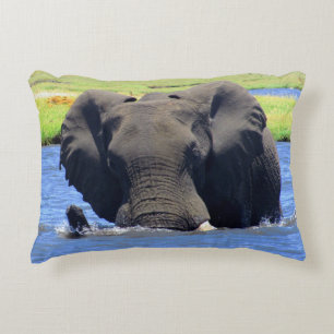 Chobe Elephant Throw Pillow